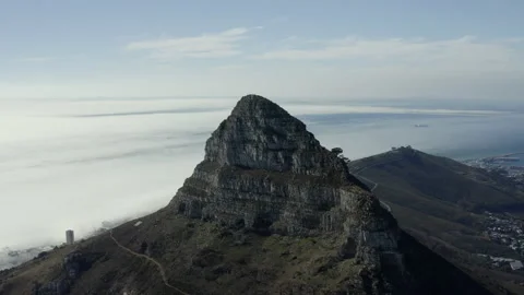 Lion's Head Stock Stock Footage 169077317