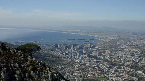 Lion's Head Stock Stock Footage 169077852