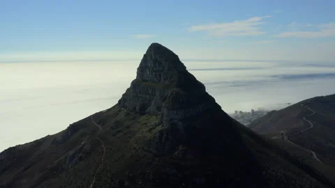Lions Head Stock Stock Footage 169078063