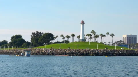 Lions Lighthouse in Long Beach with Palm Trees and Marina View Stock Footage 306309921