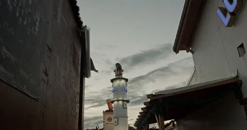 Lions rotation Stock Footage 221846452