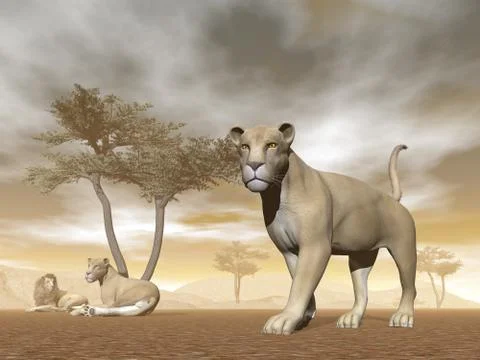 Lions in the savannah - 3D render Stock Illustration