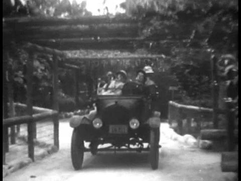 Lions shred mannequins dressed as a safari party, in a zoo enclosure, in 1934. Stock Footage