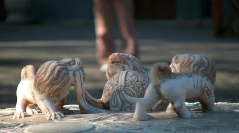 Lions &amp; steps 2 Stock Footage 278414