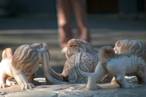 Lions &amp; steps 2 Stock Footage 302112