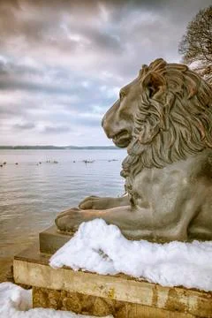 Lions Tutzing Stock Photos