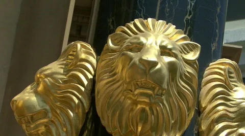 Lions v Stock Footage 135684