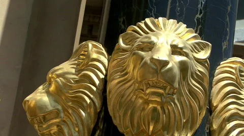 Lions3 Stock Footage 136086