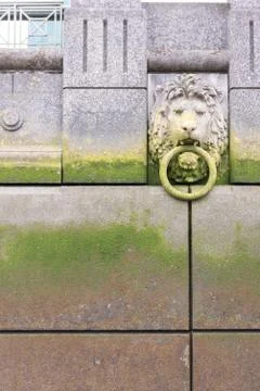 Lionsheadonwall Stock Photos