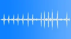 Liontail Macaque MD CallsSound Effect