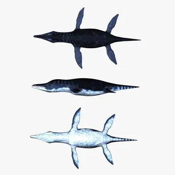 3D Model: Liopleurodon ~ Buy Now #91534775 | Pond5