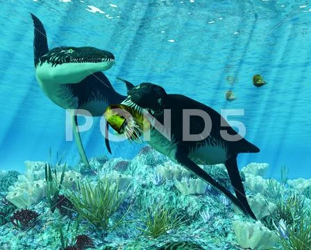 Liopleurodon Stock Illustration
