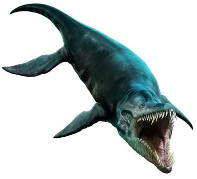 Liopleurodon Stock-Illustration
