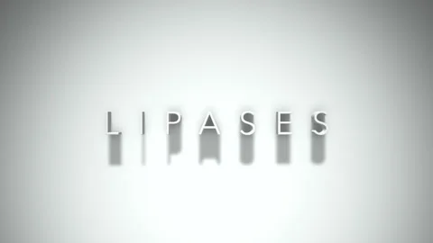 Lipases 3D title animation with shadows on a white background Video stock 297216861