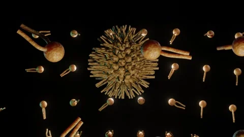 Lipid bilayer forming liposome structure Stock Footage 252407894