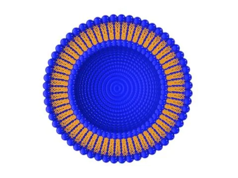 Liposome Structure 3D 2 Illustrazione stock