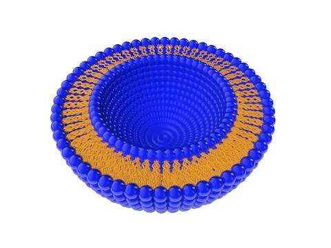 Liposome Structure 3D Stock-Illustration