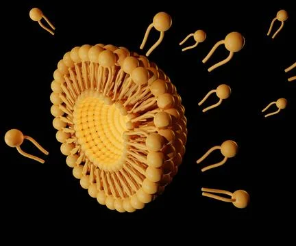 Liposome structure scattered in the black background Stock Illustration