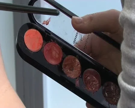 Lipstick palette Video stock 10796771