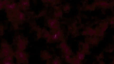 Liquid Abstract Background 4K. Cinematic BG Video stock 231766309