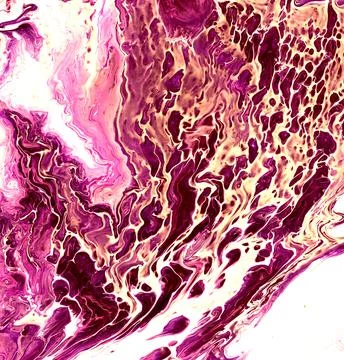 Liquid abstract background with Fluid Art bubbles texture. Stock Illustration