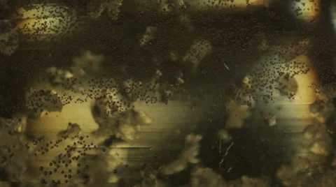 Liquid abstract color background Stock Footage 68190321