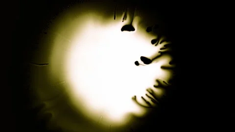 Liquid abstract color explosion YELLOW LOOP (11) Stock Footage 171281610