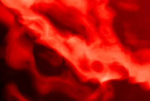 Liquid Ambient/MDLA 05 Видео 64718