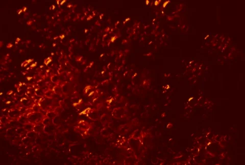 Liquid Ambient/MDLA 06 Видео 64719