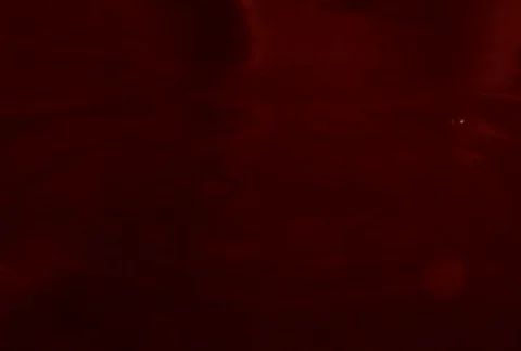 Liquid Ambient/MDLA 08 Видео 64721