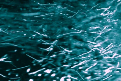 Liquid Ambient/MDLA 15 動画素材 64730