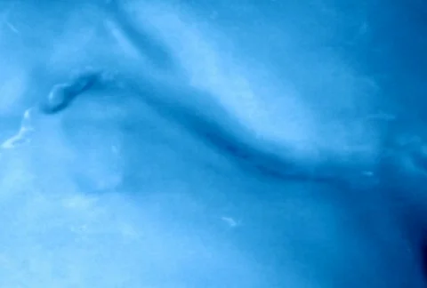 Liquid Ambient/MDLA 16 Video stock 64731