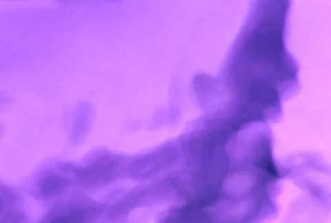 Liquid Ambient/MDLA 28 Видео 64989