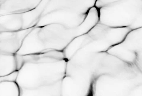 Liquid Ambient/MDLA 29 Видео 64990