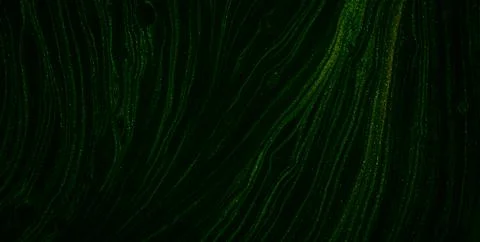 Liquid and Water Patterns in a Grunge Art Illustration Stock Illustration