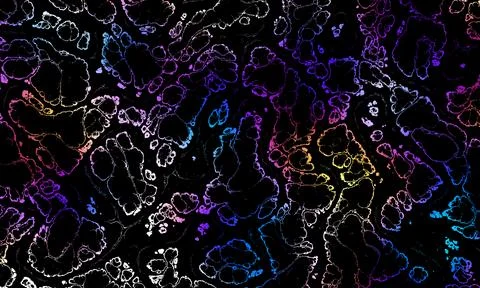 Liquid art, black abstract background. Fluid dark marble texture. Vector Illustrazione stock