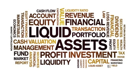 Liquid Assets animated word cloud,animation kinetic typography seamless loop. Stock-Footage 310469748
