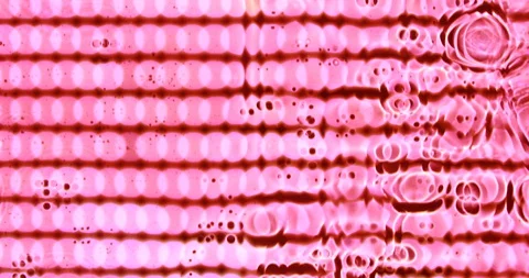 Liquid background similar to molecules or red blood cells merge and Video stock 129327434