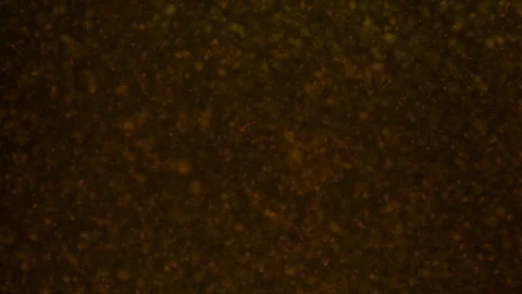 Liquid backgrounds Stock Footage 114201495