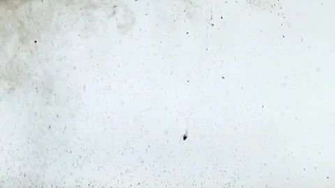 Liquid backgrounds Stock Footage 151870688