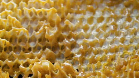 Liquid beeswax flowing through honeycomb cells. Wax melting.Apiary.Bees Business Stock Footage 332572952