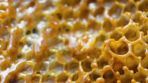 Liquid beeswax flowing through honeycomb cells. Wax melting.Apiary.Bees Business Stock Footage 332573090