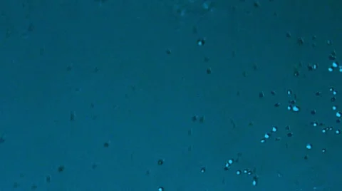 Liquid bubbles background Video stock 7137878