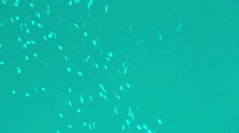 Liquid bubbles background Vidéo 7137903