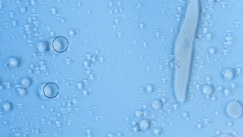 Liquid cells, shapes change when elements meet, transparent liquid on a Stock Footage 270193242