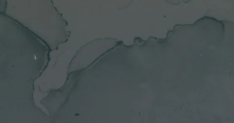 Liquid Damage - Hard Light Vidéo 93196672