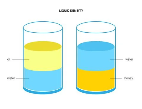 Liquid density experiment Stock Illustration