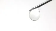 Liquid Drop On The Needle End On White Background Stock Footage