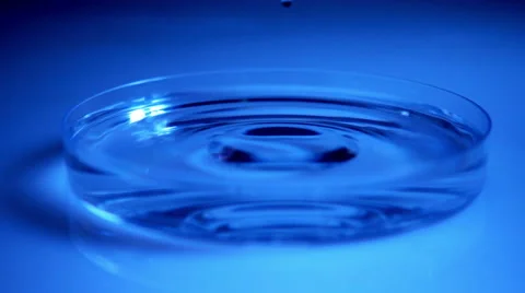 Liquid drops in petri dish splashes, slow motion Stock Footage 55763864
