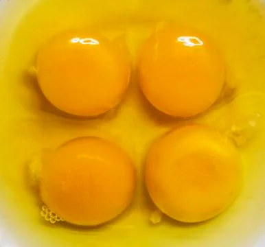 Liquid egg Stock Photos